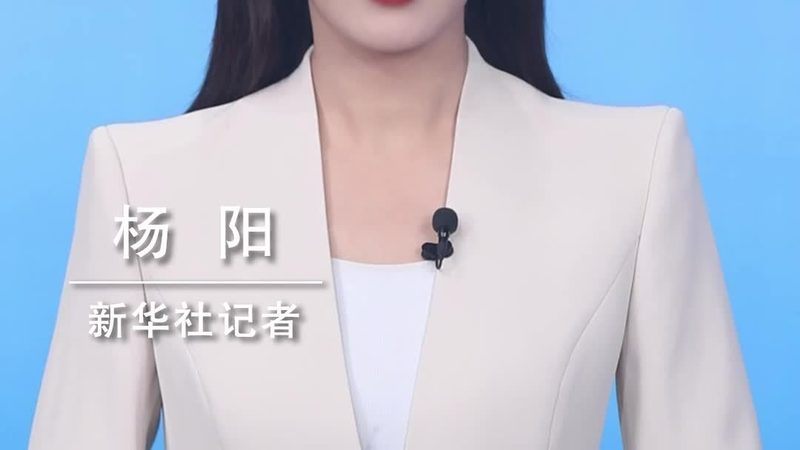 数据安全事件处理平台：构建企业数据安全防线的关键
